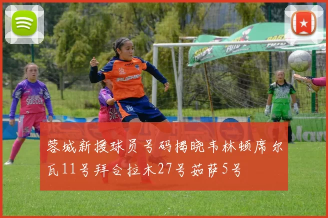 蓉城新援球员号码揭晓韦林顿席尔瓦11号拜合拉木27号茹萨5号